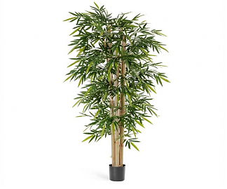 Бамбук искусственный Новый гигантский TREEZ Collection 180h