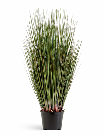 Трава Осока куст в-90 см TREEZ Collection