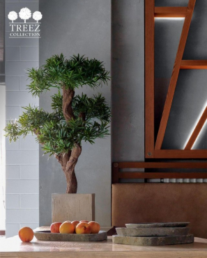 Подокарпус искусственный на забавном стволе Новый TREEZ Collection
