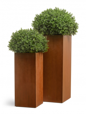 Кашпо TREEZ Effectory - Corten Steel - Высокий куб - Кортеновская сталь - Бархатистая окись