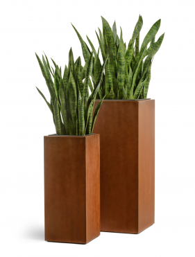 Кашпо TREEZ Effectory - Corten Steel - Высокий куб - Кортеновская сталь - Бархатистая окись