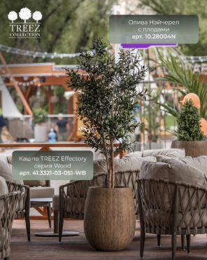 Кашпо TREEZ Effectory - Wood - Округлая чаша - Светлый дуб