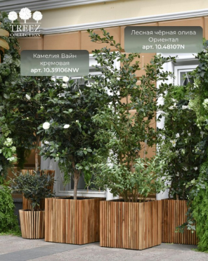 Кашпо TREEZ Effectory - Timberline - Куб - Тёмное дерево