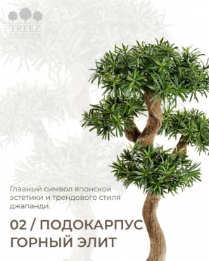 Подокарпус искусственный на забавном стволе Новый TREEZ Collection