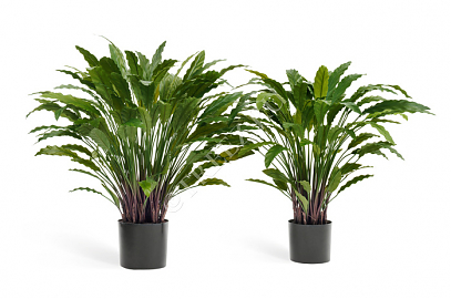 Калатея искусственная в горшке TREEZ Collection