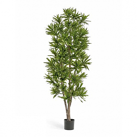 Драцена Рефлекса искусственная TREEZ Collection 120h