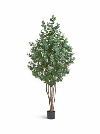 Эвкалипт искусственный серебристый многоствольный TREEZ Collection 200h