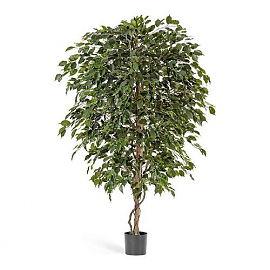 Фикус искусственный TREEZ Collection Бенджамина Де Люкс 210h