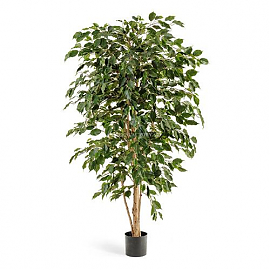 Фикус искусственный TREEZ Collection Бенджамина Нитида 210 см